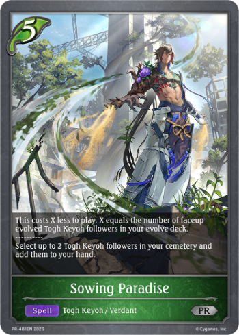 Shop Tournaments | Shadowverse: Evolve